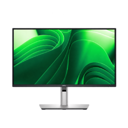 DELL - B2B Pro Plus P2425DE